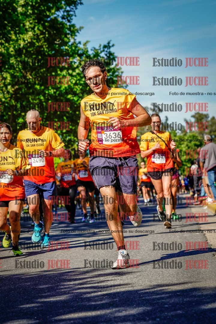 Fotos de las llegadas