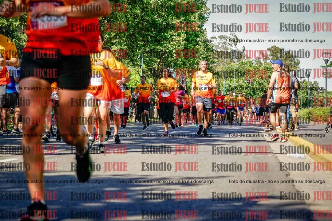 Fotos de las llegadas