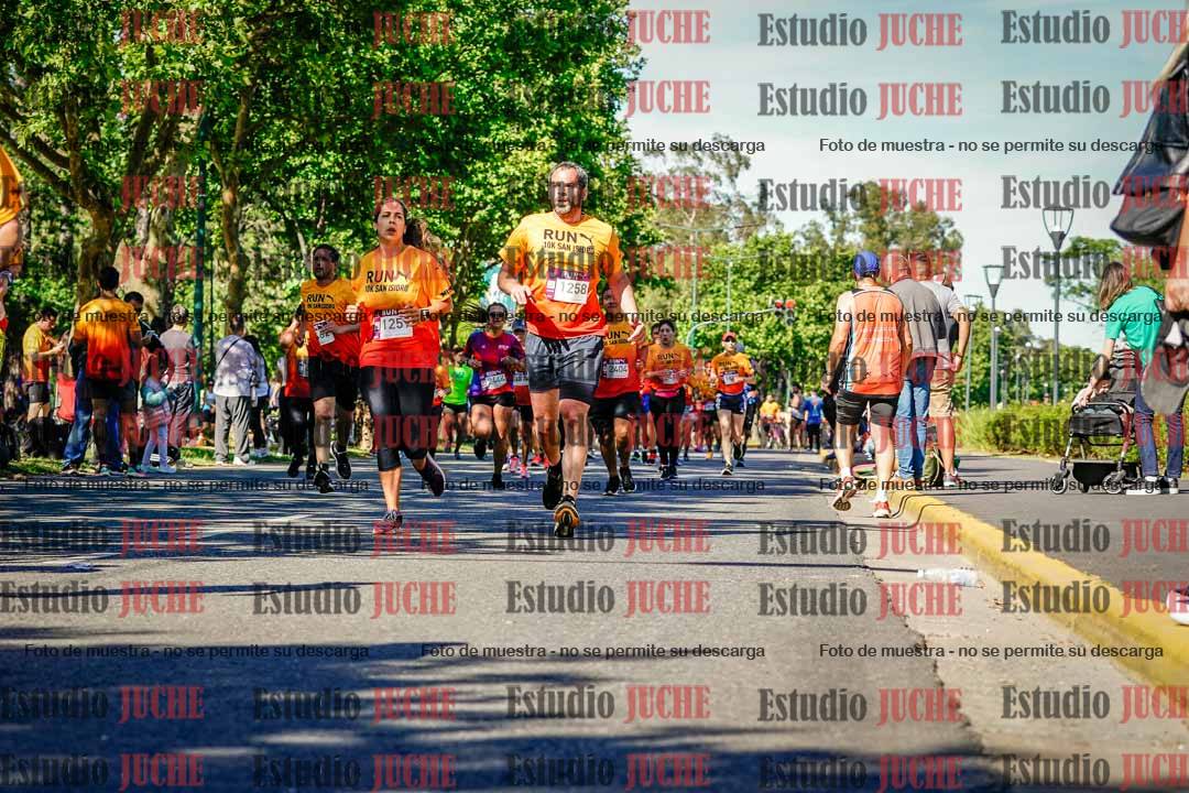 Fotos de las llegadas