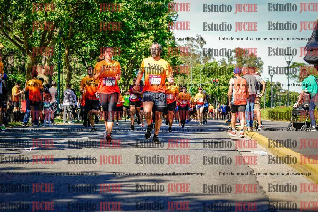 Fotos de las llegadas