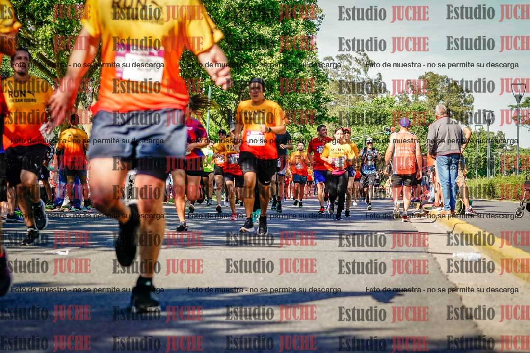 Fotos de las llegadas