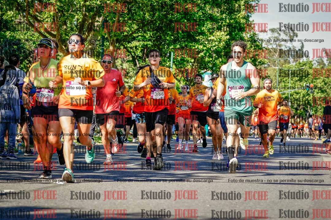 Fotos de las llegadas
