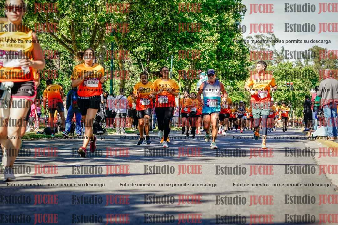 Fotos de las llegadas