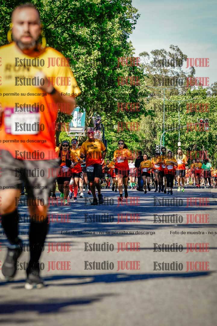 Fotos de las llegadas