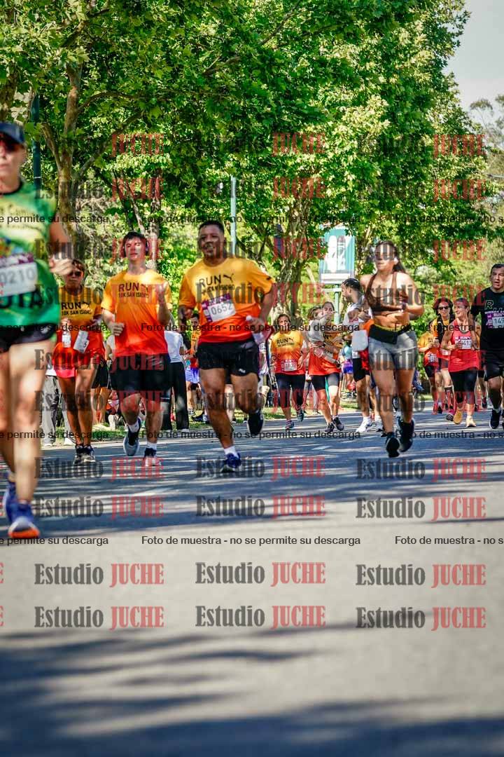 Fotos de las llegadas