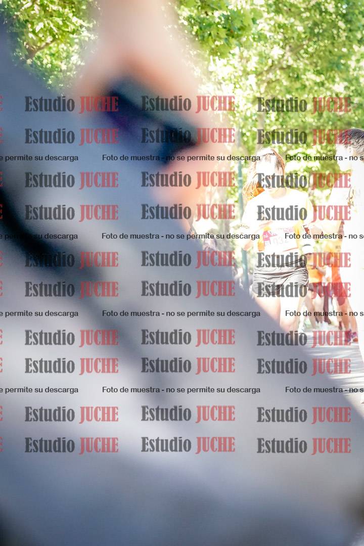Fotos de las llegadas