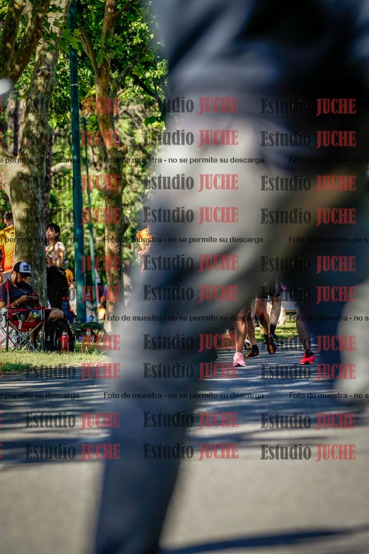 Fotos de las llegadas