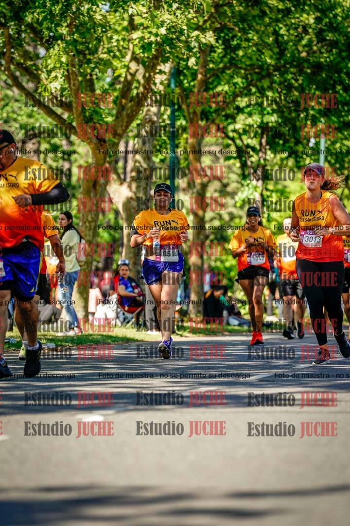 Fotos de las llegadas