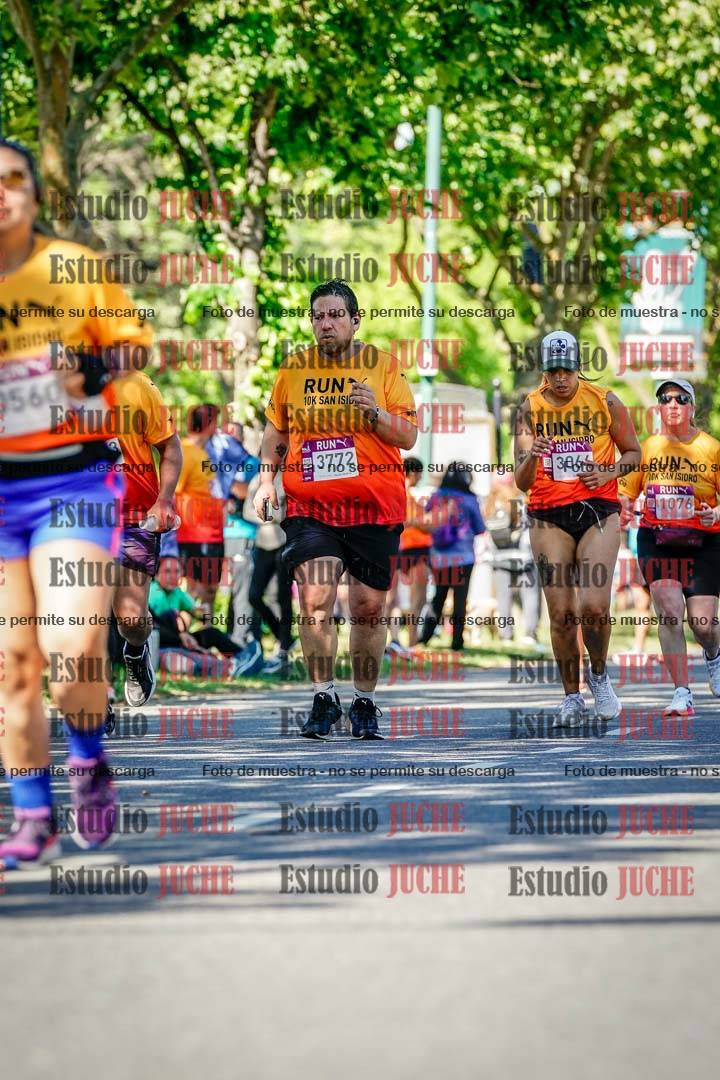 Fotos de las llegadas