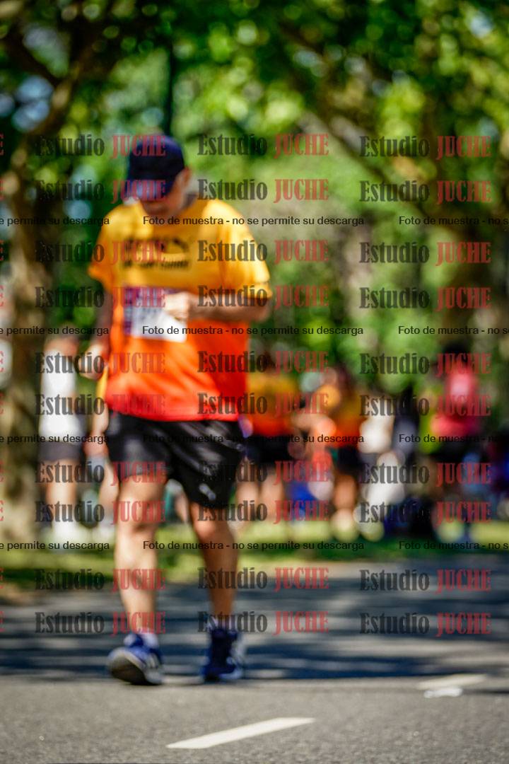 Fotos de las llegadas