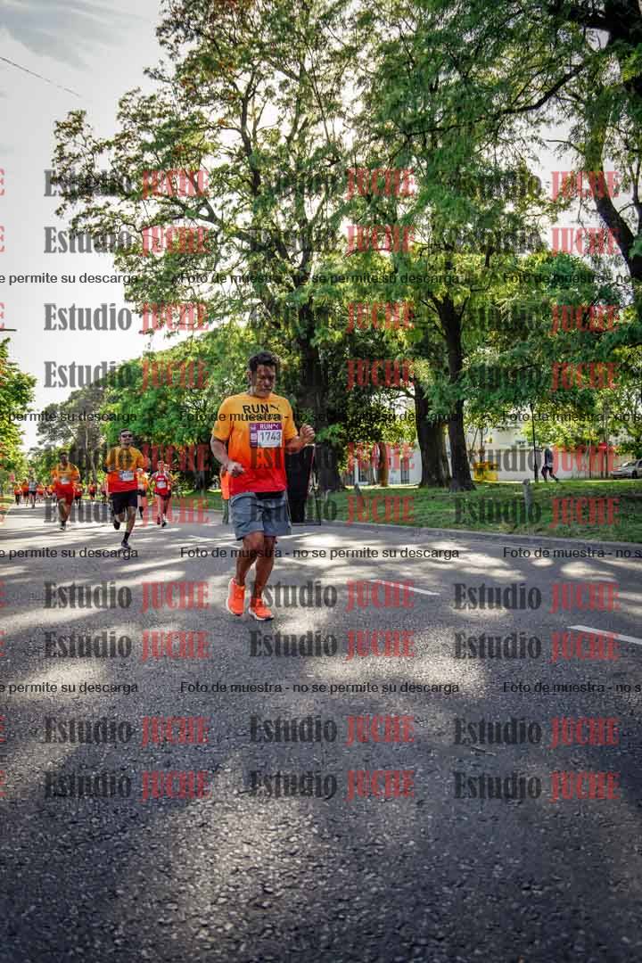 Fotos en el recorrido