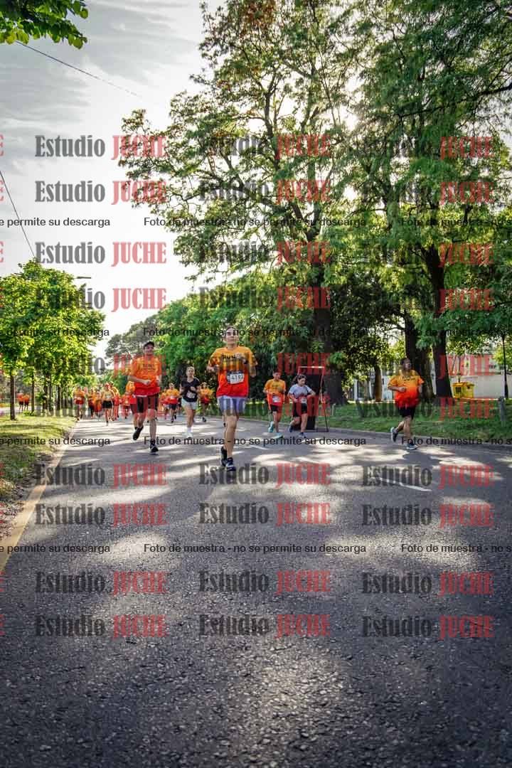 Fotos en el recorrido