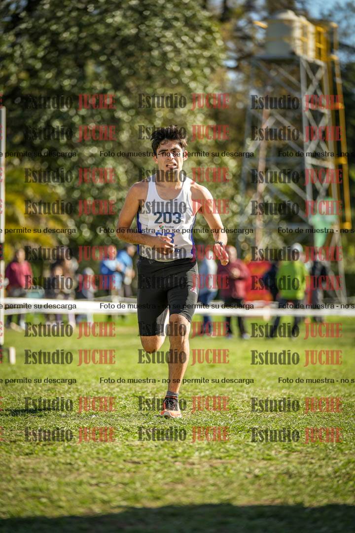 Fotos de la llegada del cross de 6000 m