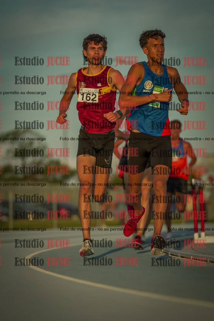Fotos de los 3000 m llanos de varones