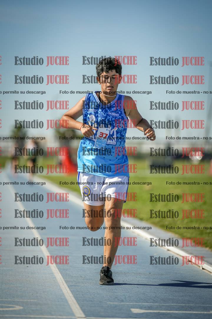 Fotos de los 1500 m llanos de mujeres