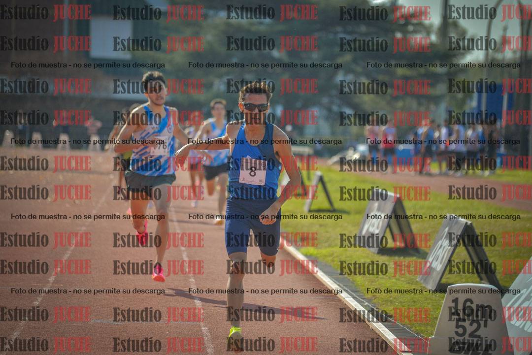 Fotos de los 800 m llanos de varones