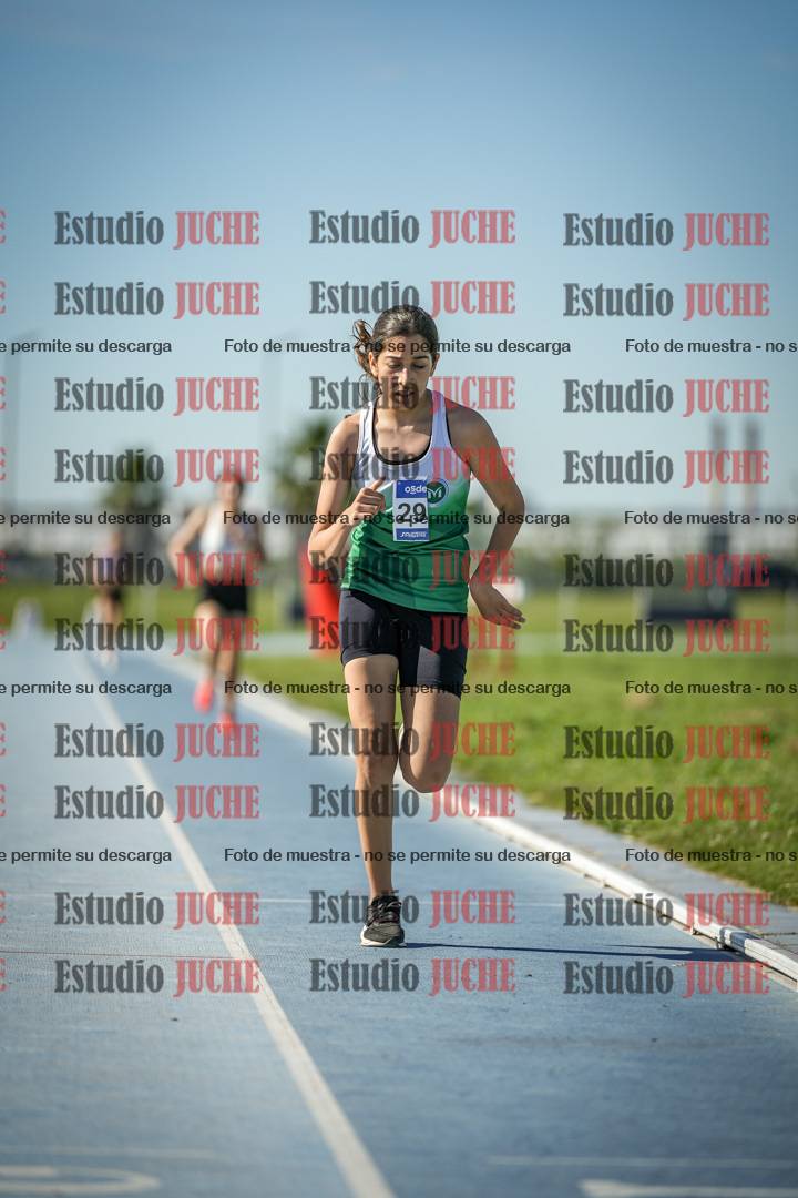 Fotos de los 1500 m llanos de mujeres