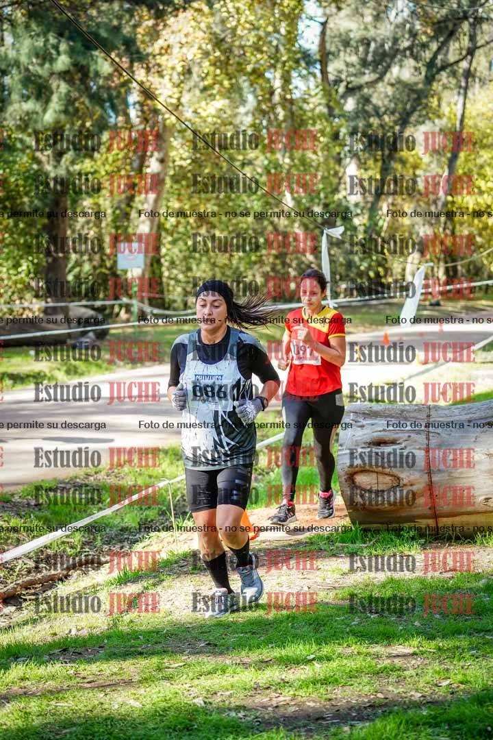 Fotos de la llegada del cross de 6000 m