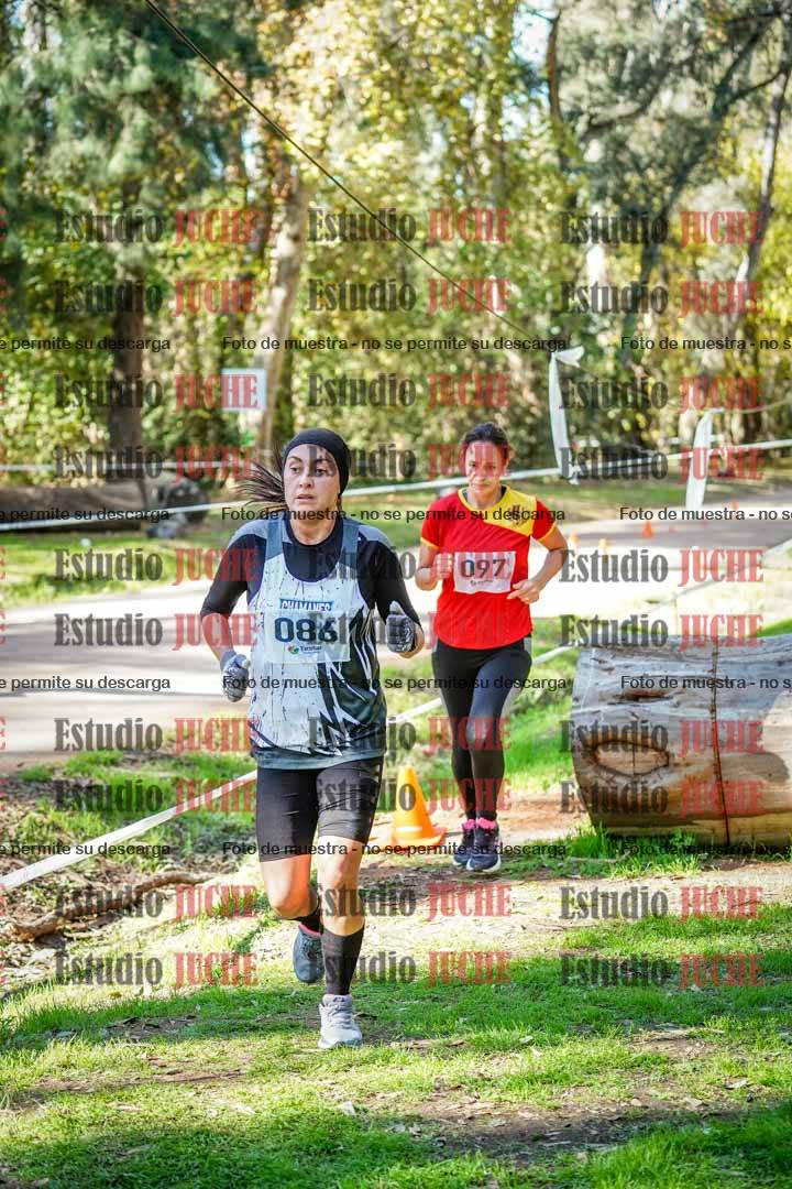 Fotos de la llegada del cross de 6000 m