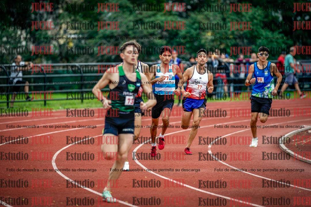 Fotos de los 800 m llanos de varones