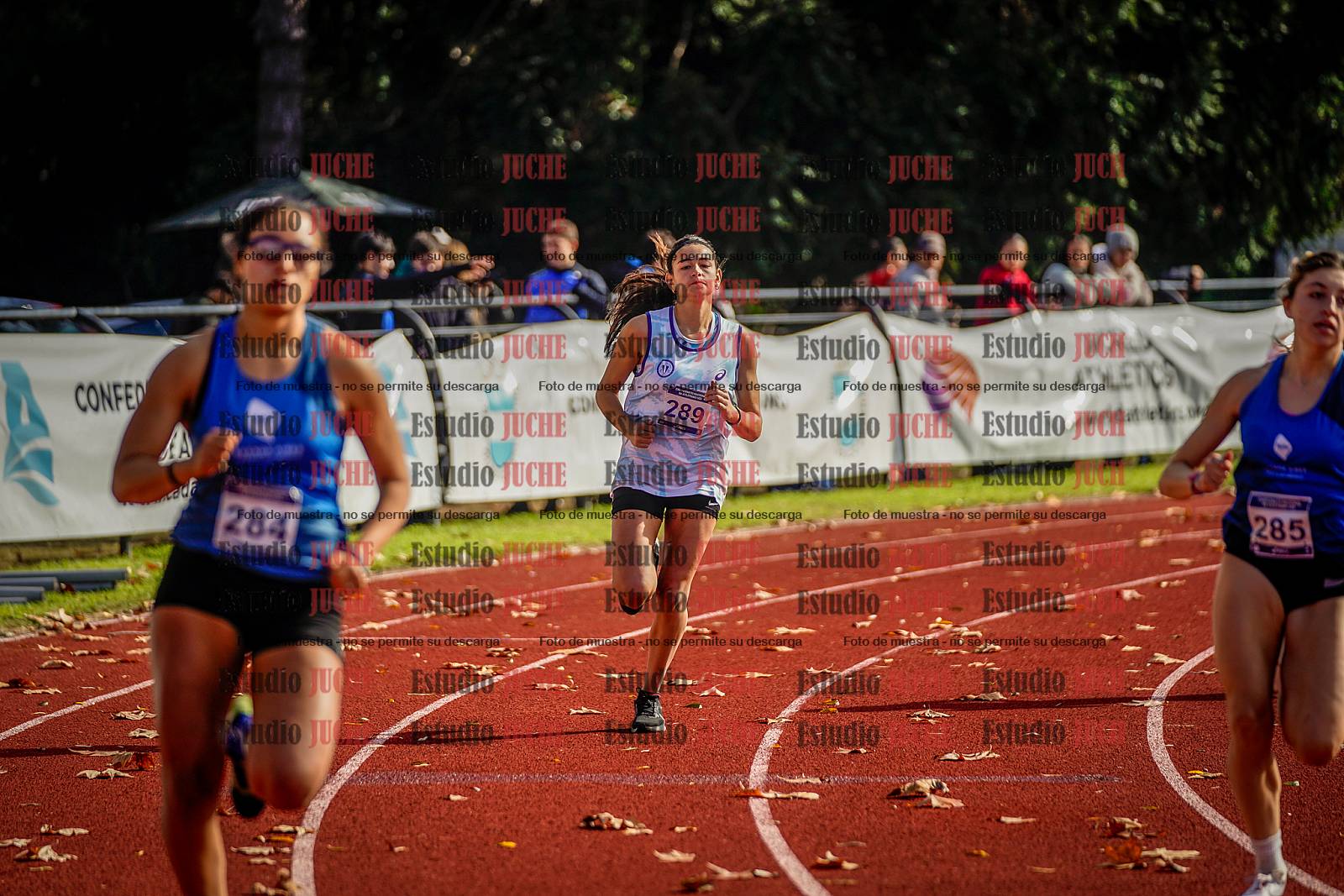 Fotos de los 800 m de mujeres - heptatlón 7