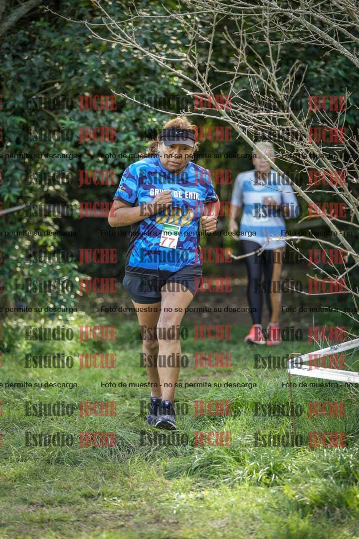 Fotos en el circuito