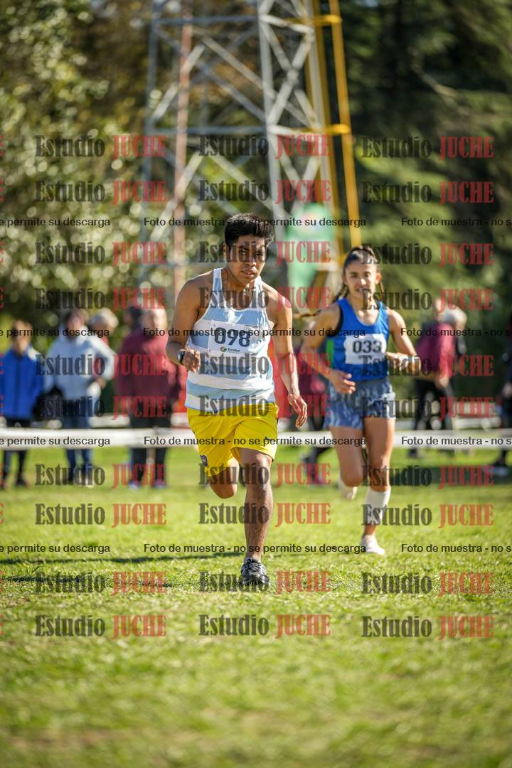 Fotos de la llegada del cross de 6000 m