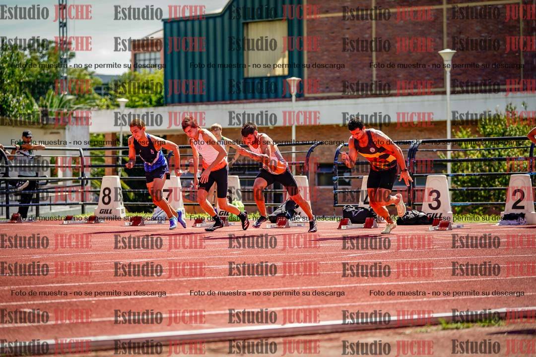Fotos de los 110 m con vallas de varones