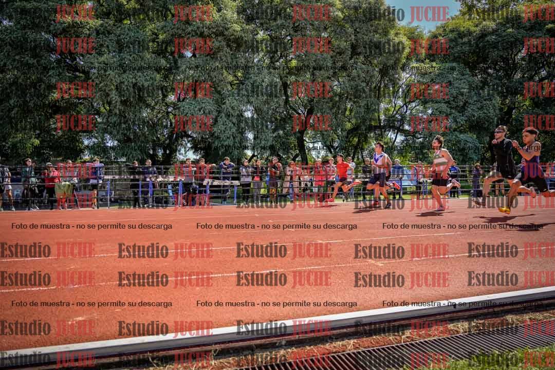 Fotos de los 100 m de varones