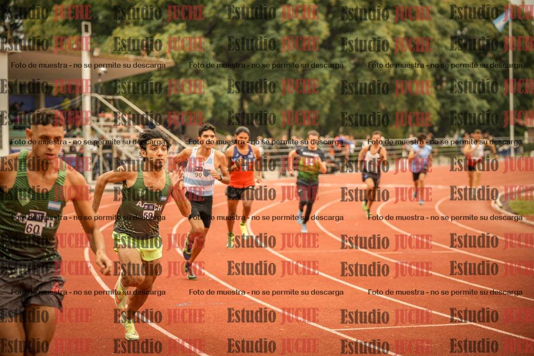 Fotos de los 800 m llanos de varones