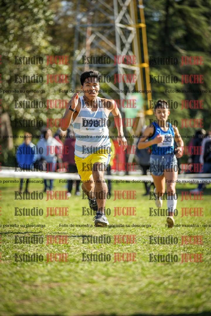Fotos de la llegada del cross de 6000 m