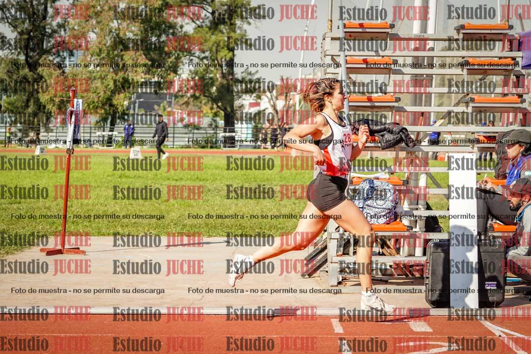 Fotos de los 800 m llanos de mujeres