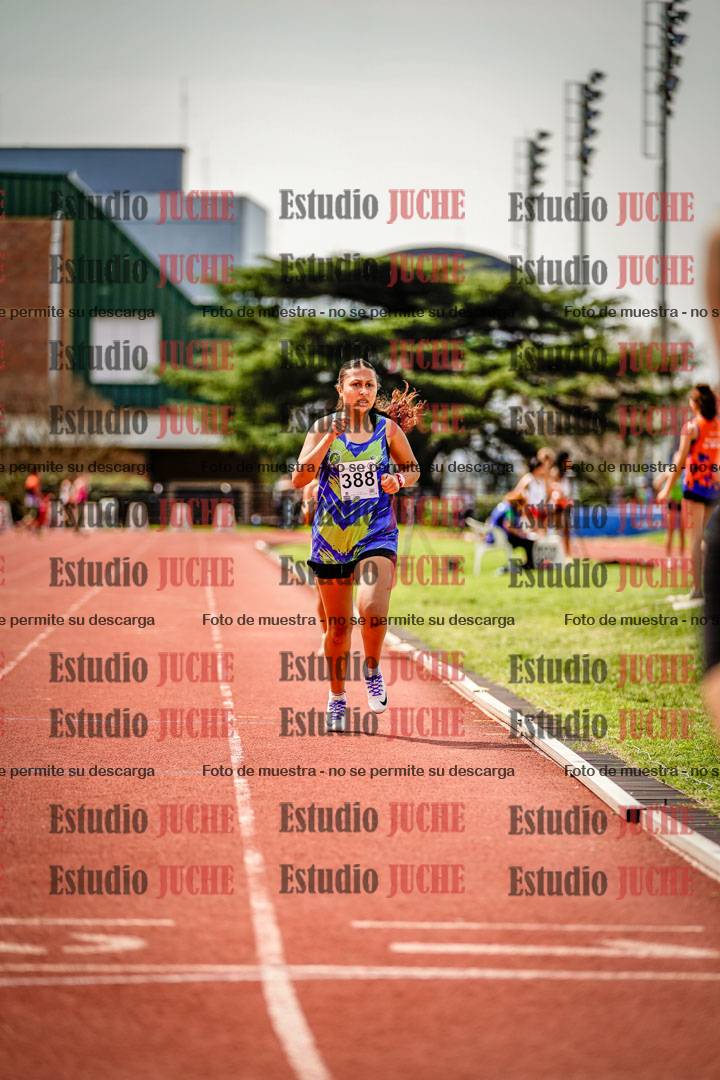 Fotos de los 600 m llanos de mujeres