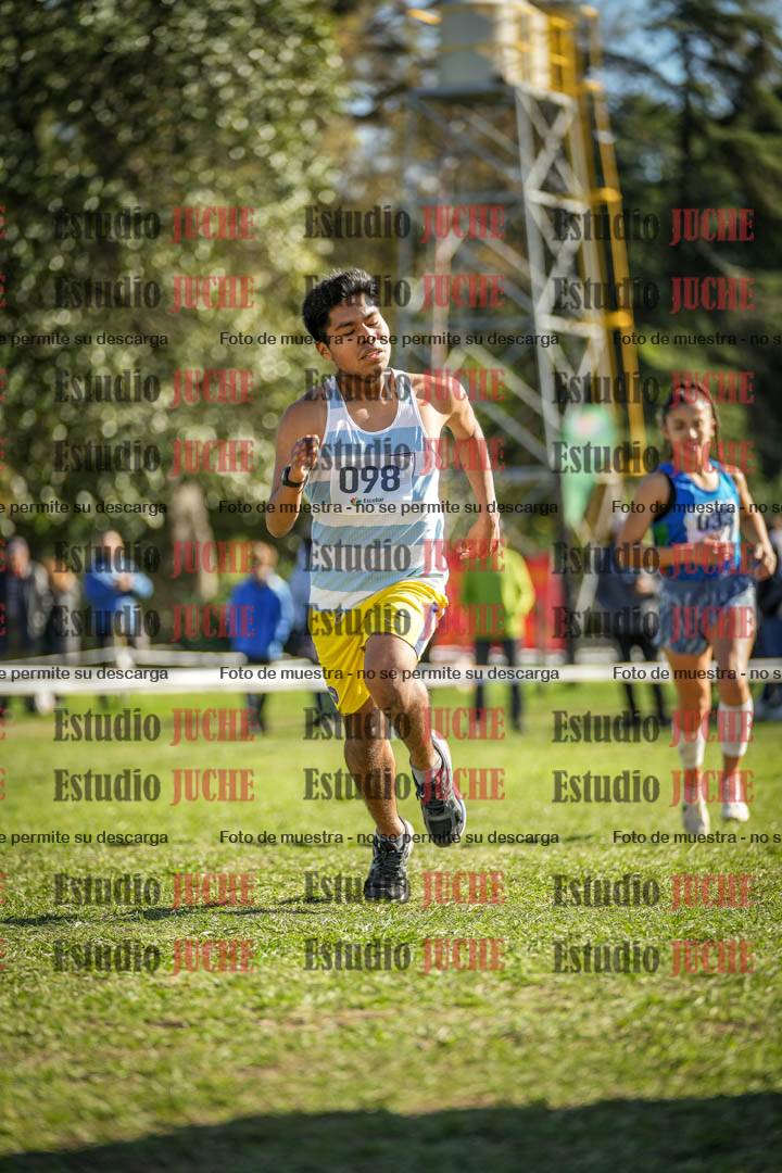 Fotos de la llegada del cross de 6000 m