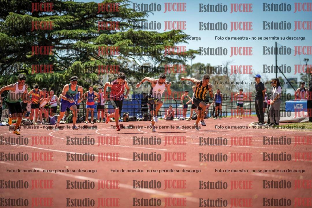 Fotos de los 100 m llanos de varones
