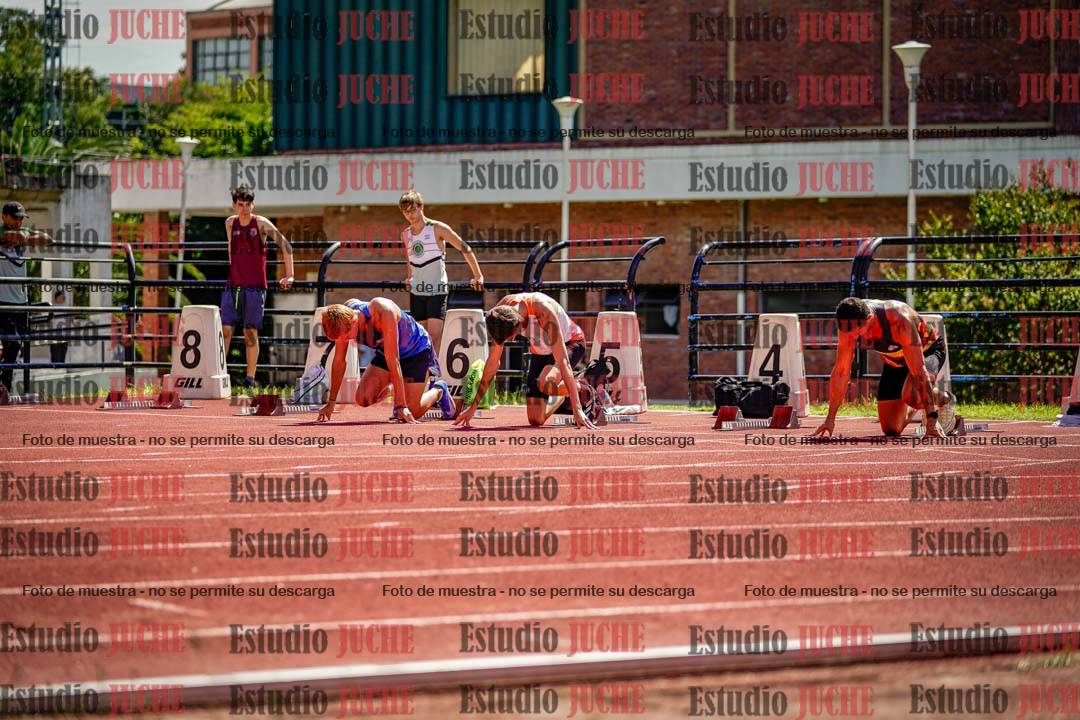 Fotos de los 110 m con vallas de varones