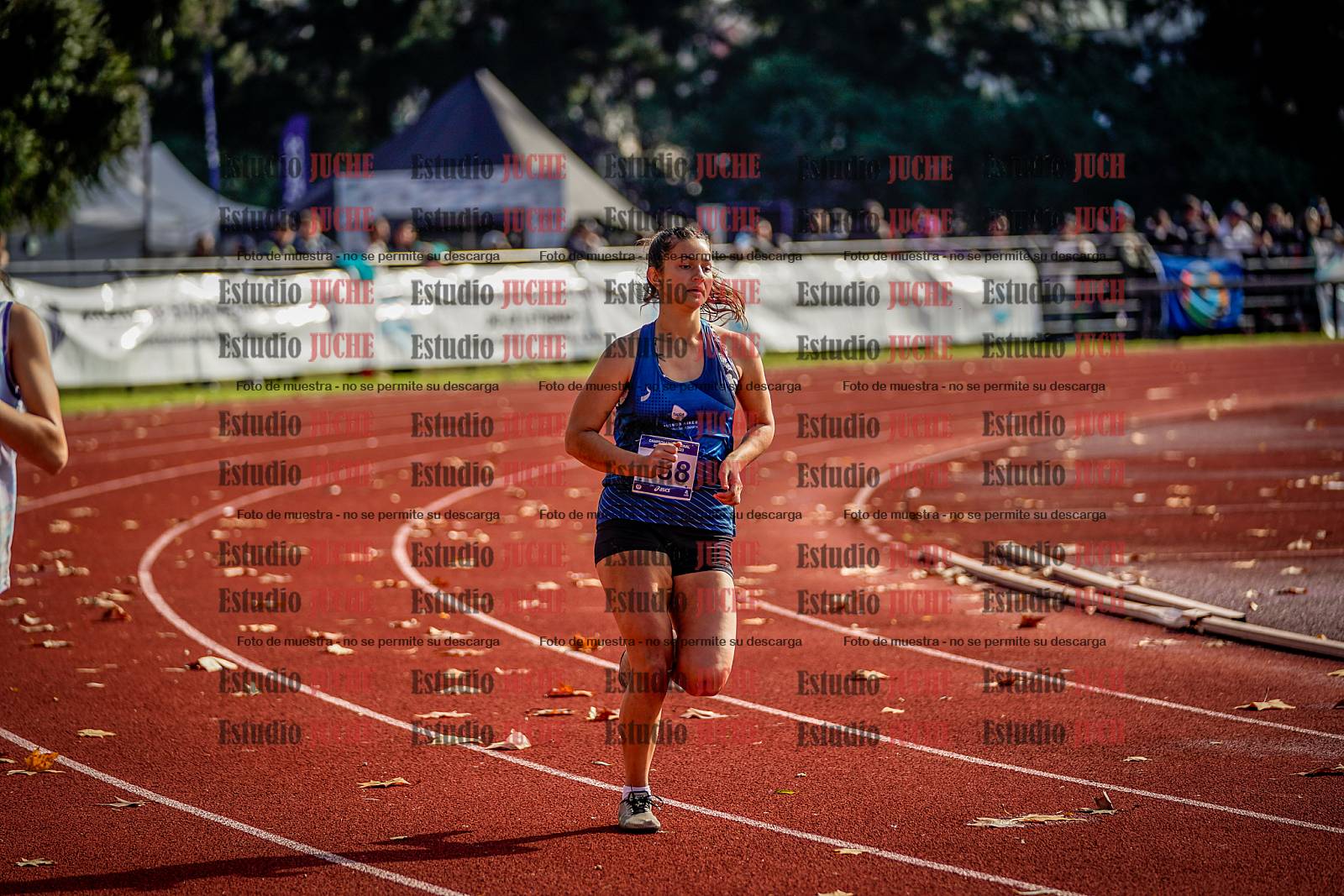 Fotos de los 800 m de mujeres - heptatlón 7