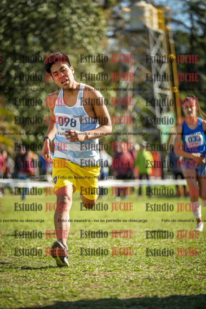 Fotos de la llegada del cross de 6000 m