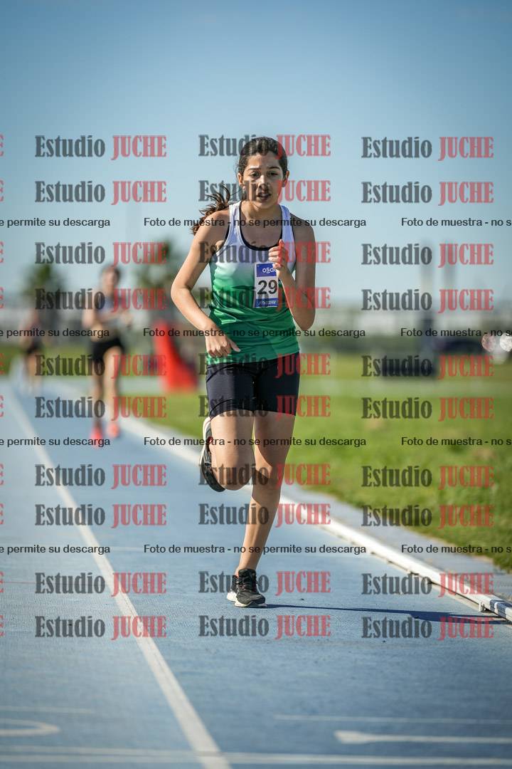 Fotos de los 1500 m llanos de mujeres