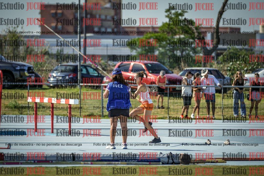 Fotos del salto con garrocha de mujeres y varones
