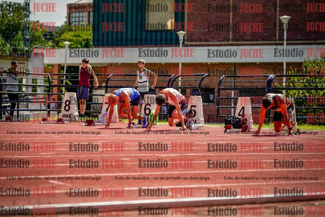 Fotos de los 110 m con vallas de varones