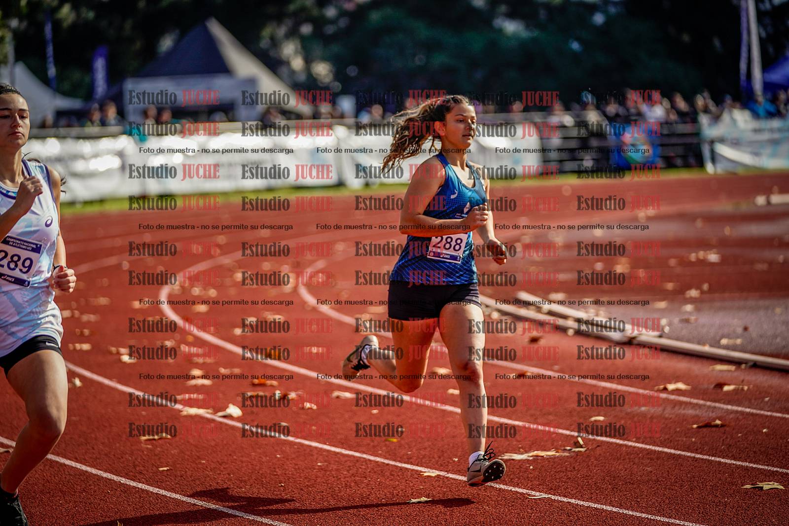 Fotos de los 800 m de mujeres - heptatlón 7