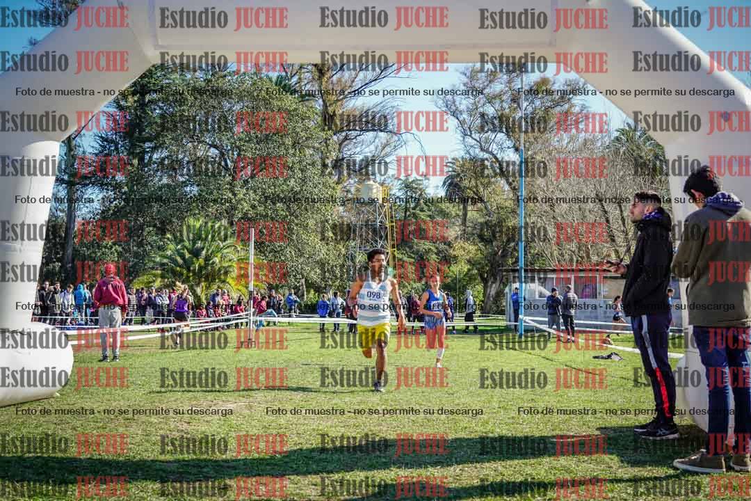 Fotos de la llegada del cross de 6000 m