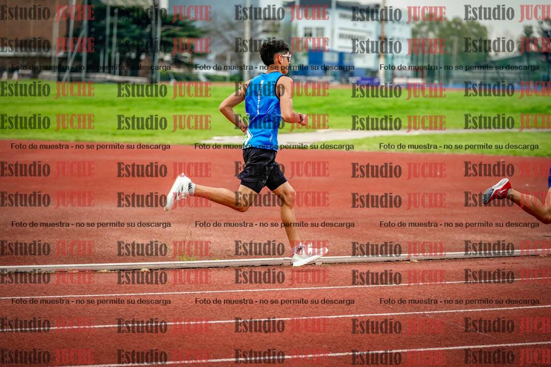 Fotos de los 800 m llanos de varones