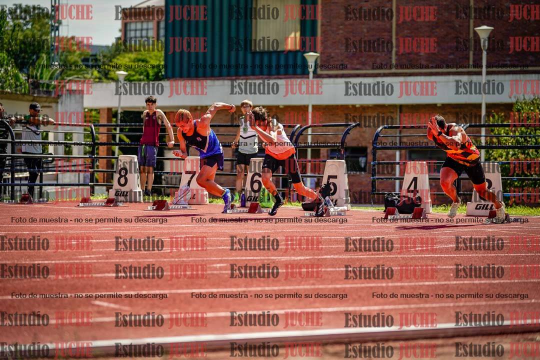 Fotos de los 110 m con vallas de varones