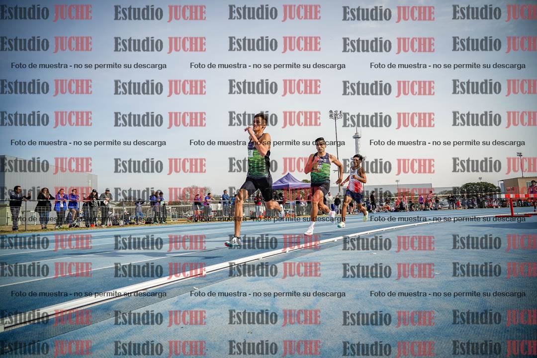 Fotos de los 800 m llanos de varones