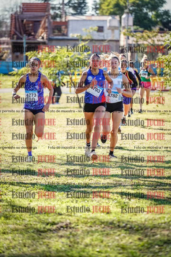 Fotos en el circuito