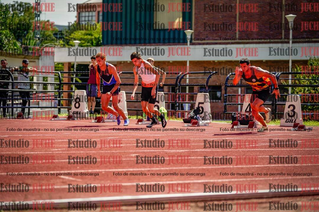 Fotos de los 110 m con vallas de varones