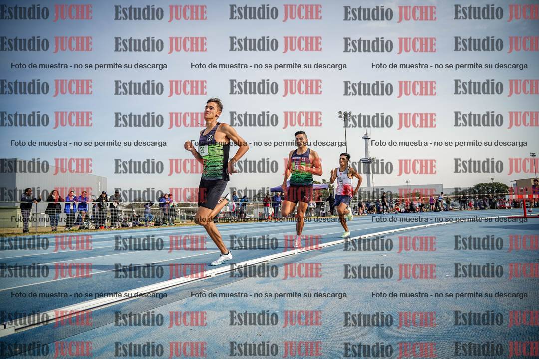 Fotos de los 800 m llanos de varones