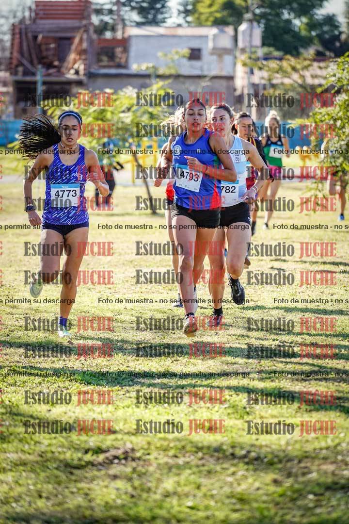 Fotos en el circuito